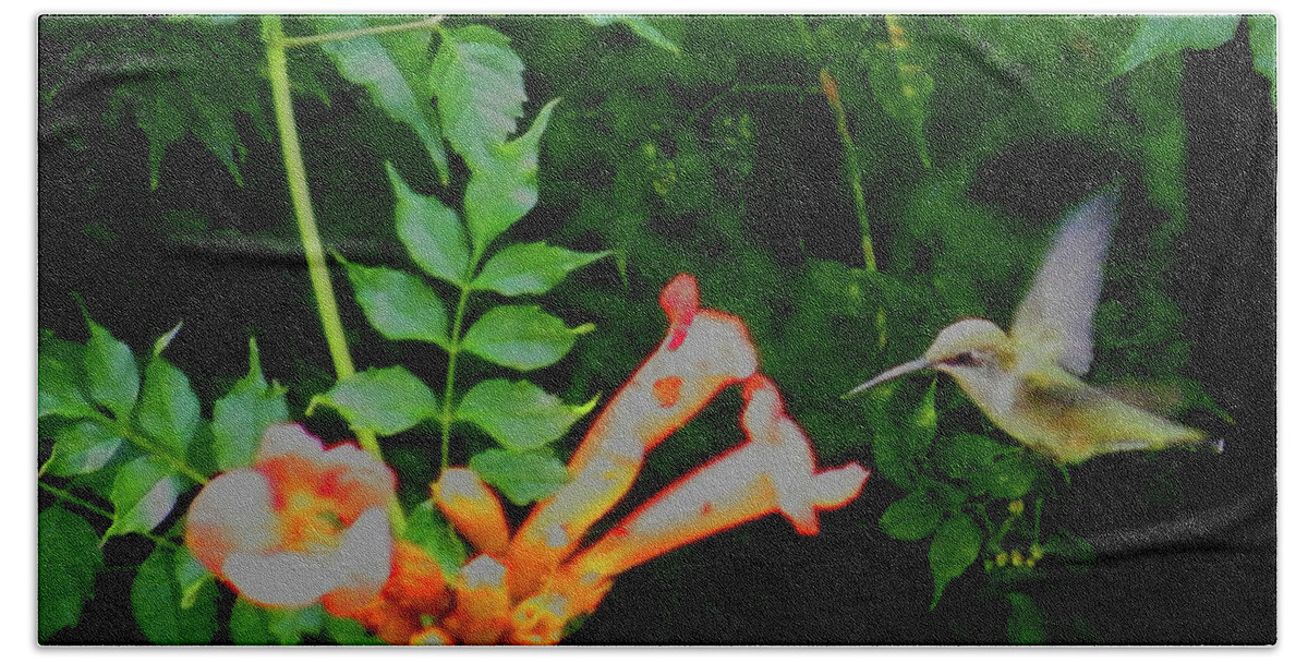 Hummingbird Beach Towel featuring the photograph A Tasty Treat by Kimmary MacLean