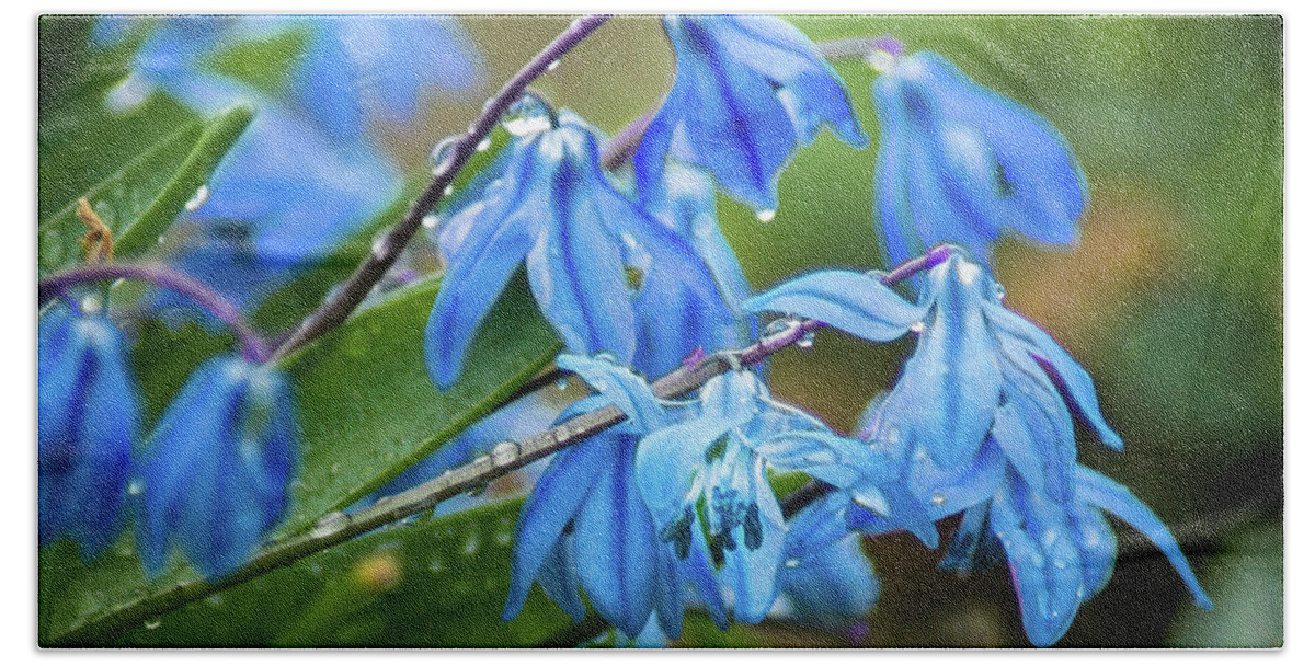 Blue Beach Towel featuring the photograph A Wet Spring by Bill Pevlor