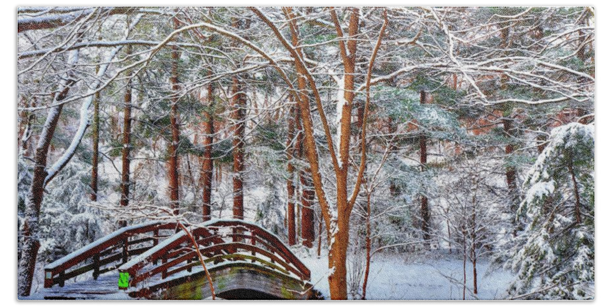 Botanical Gardens Asheville North Carolina Beach Towel featuring the photograph A Winters Painting by Carol Montoya