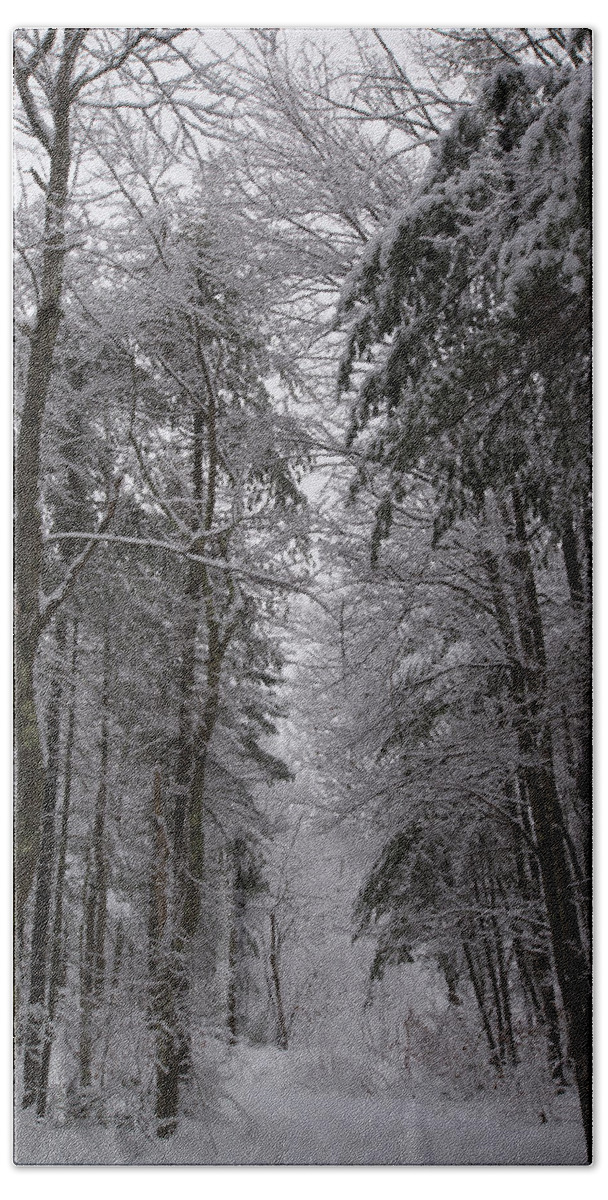 Path Beach Towel featuring the photograph A Winters Path by Robert McKay Jones