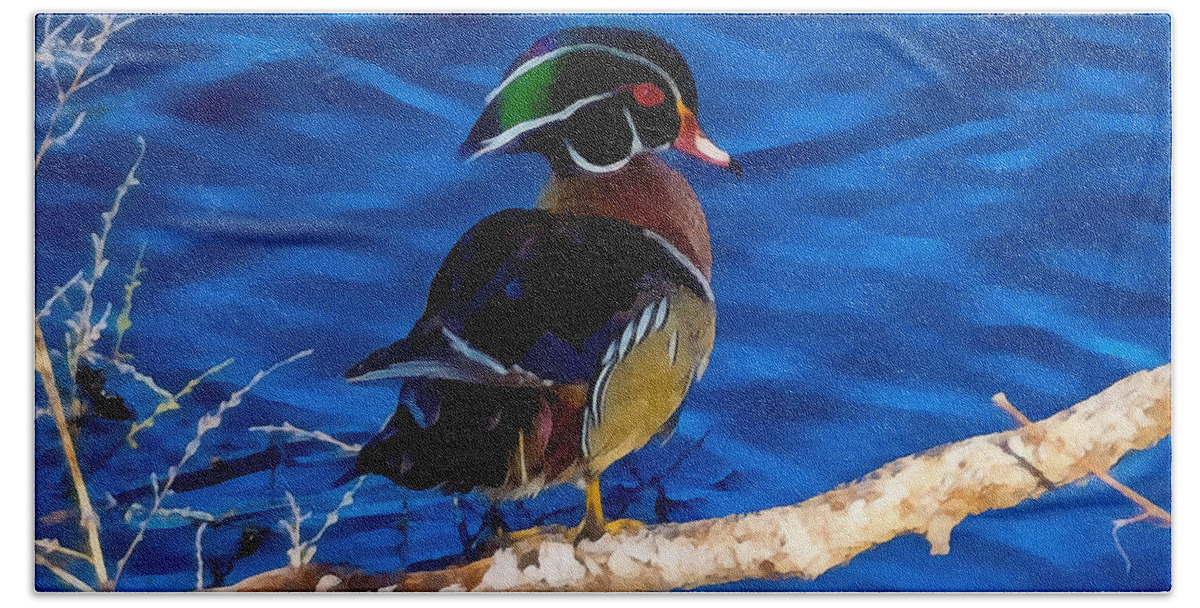 Wood Ducks Beach Towel featuring the digital art A Wood Duck Portrait by Ernest Echols