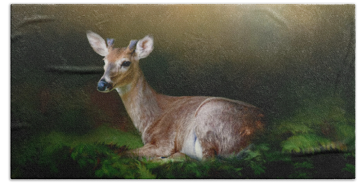 Animal Beach Towel featuring the photograph A Young Buck by Lana Trussell