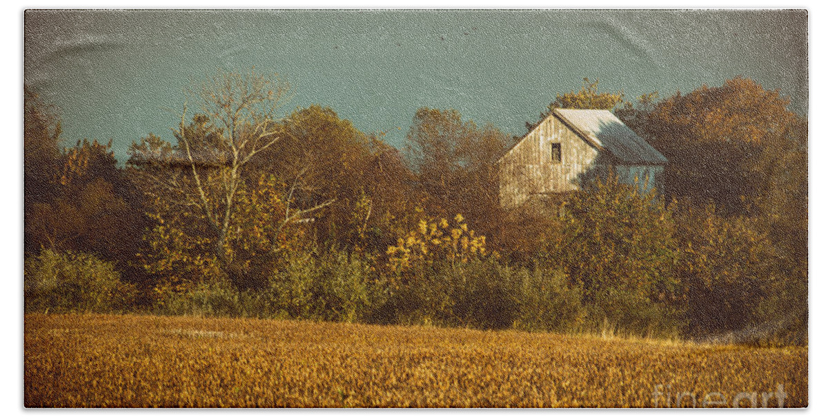 Rural Beach Towel featuring the photograph Abandoned Barn Colorized by PIPA Fine Art - Simply Solid