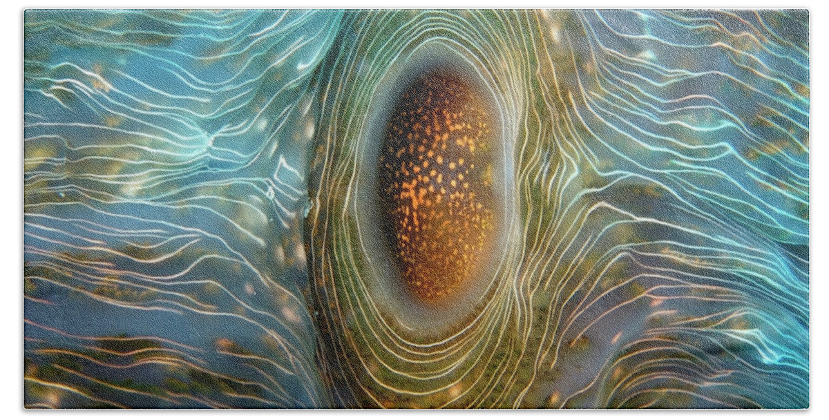 Abstract Beach Towel featuring the photograph Abstract clam by Artesub