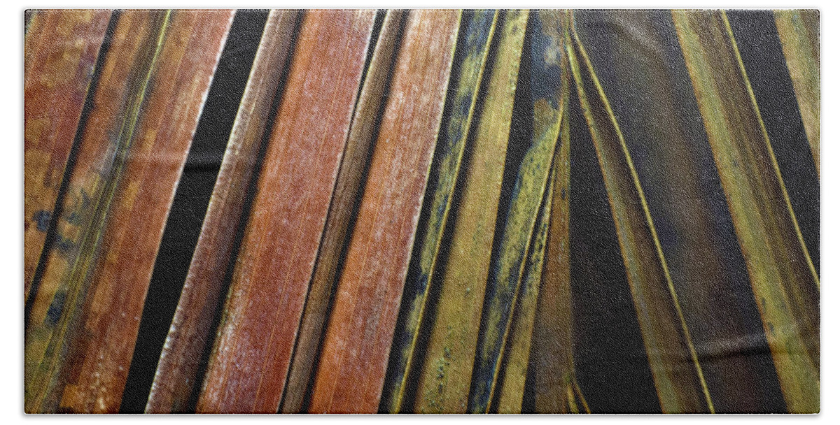 Photograph Beach Sheet featuring the photograph Abstract Palm Frond by Larah McElroy