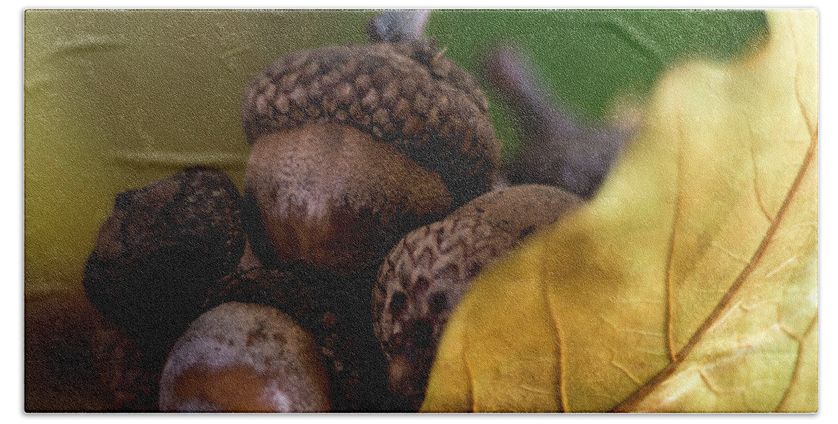 Wostphoto Beach Towel featuring the photograph Acorns in fall by Wolfgang Stocker