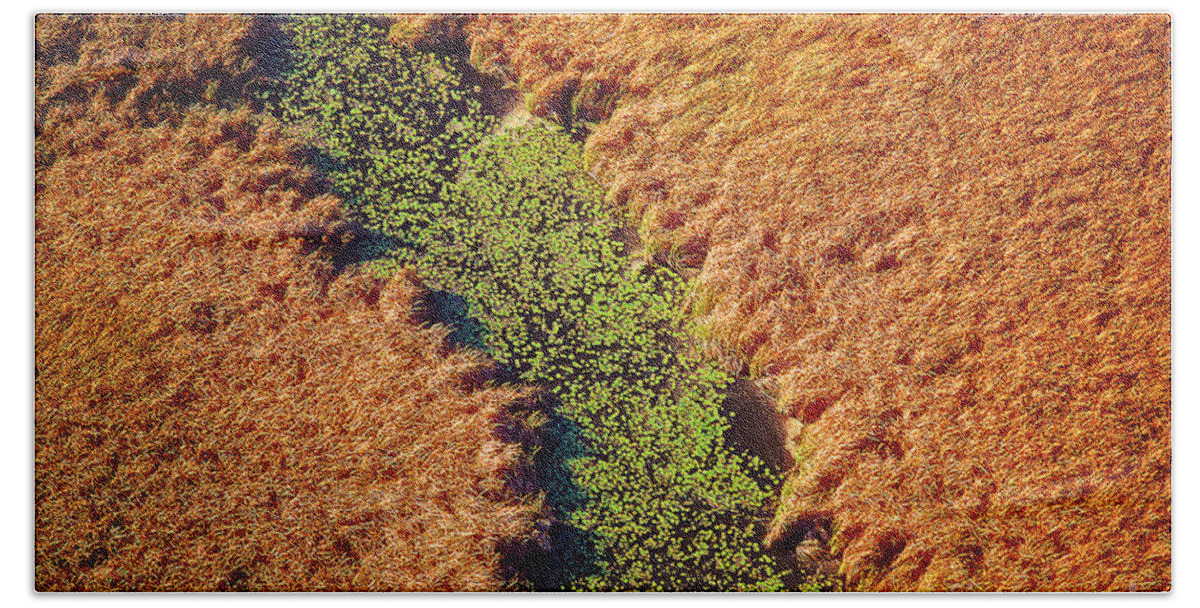 Aerial Beach Towel featuring the photograph Aerial Farm Stream Lillies by Tom Jelen
