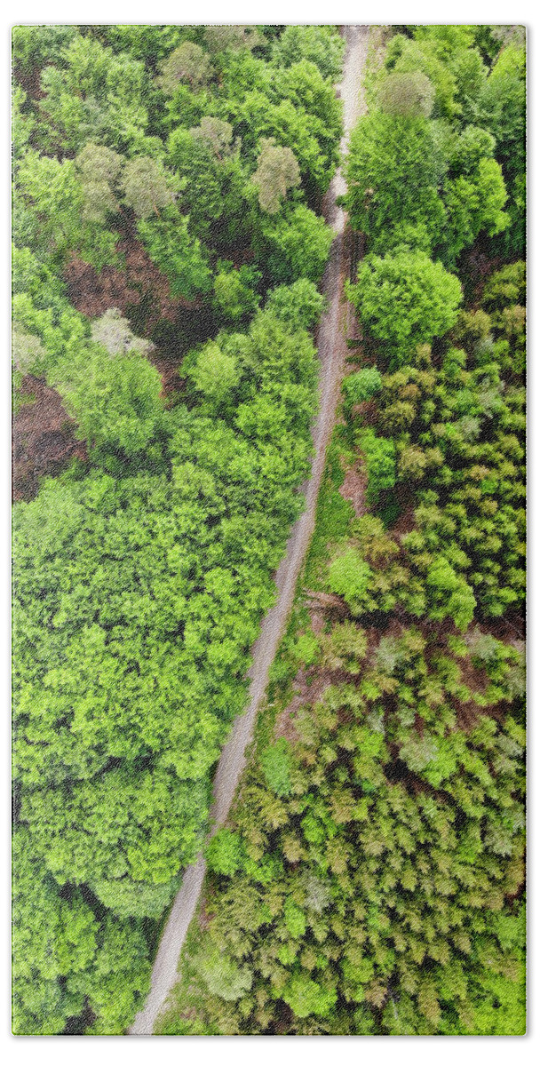 Trees Beach Towel featuring the photograph Aerial view green trees in German forest by Matthias Hauser