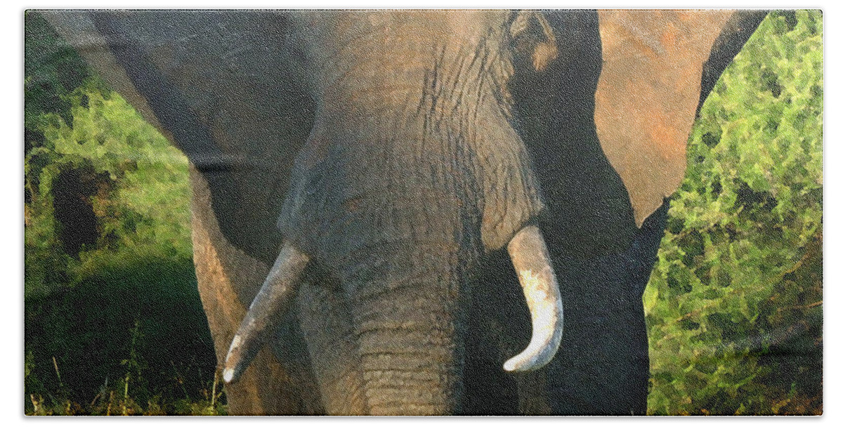 African Bull Elephant Beach Towel featuring the photograph African Bull Elephant by Joseph G Holland