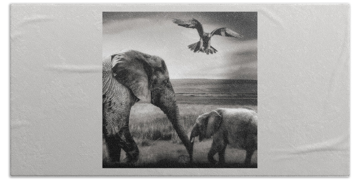 Baby Elephant Beach Towel featuring the photograph African Playground by Christine Sponchia