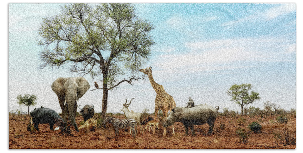 African Safari Animals Meeting Together Around Tree Beach Towel by Good  Focused - Fine Art America