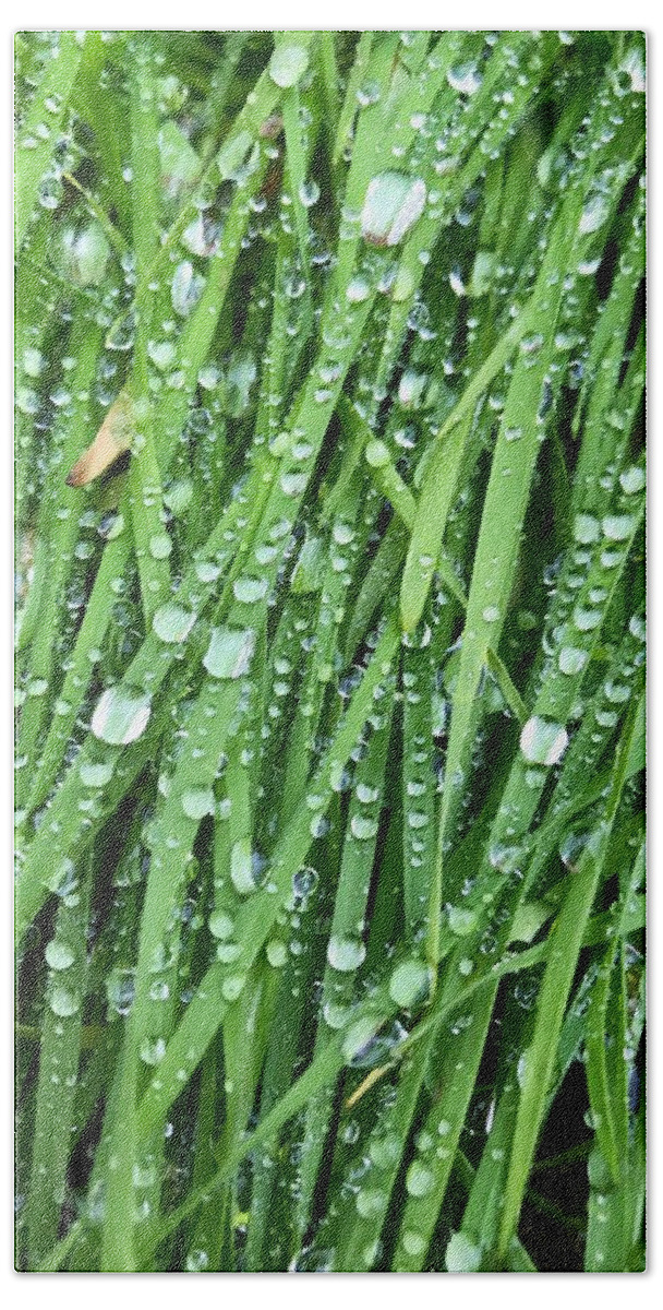 Grass Beach Sheet featuring the photograph After The Rainfall by Brad Hodges