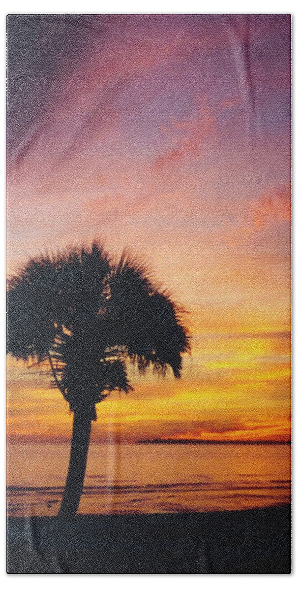 Palm Beach Towel featuring the photograph After the Storm by Peggy Urban