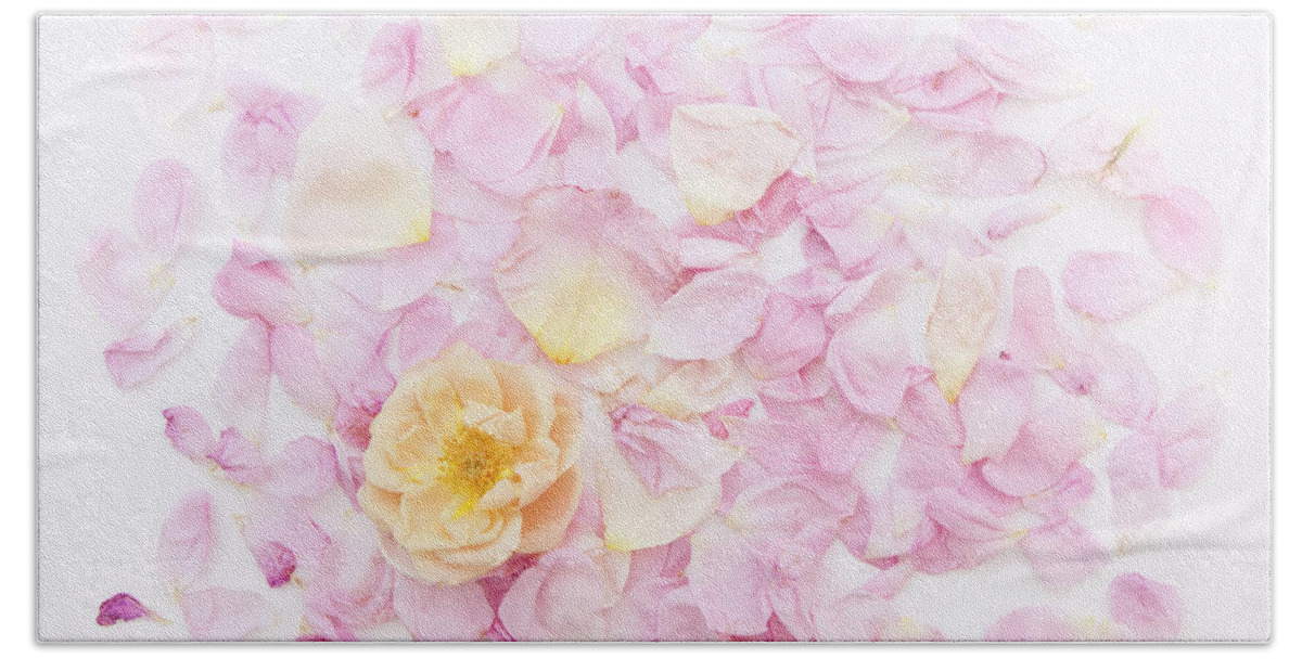 Rose Petal Pillow Beach Towel featuring the photograph Ah My Love, Ah My Own by Theresa Tahara