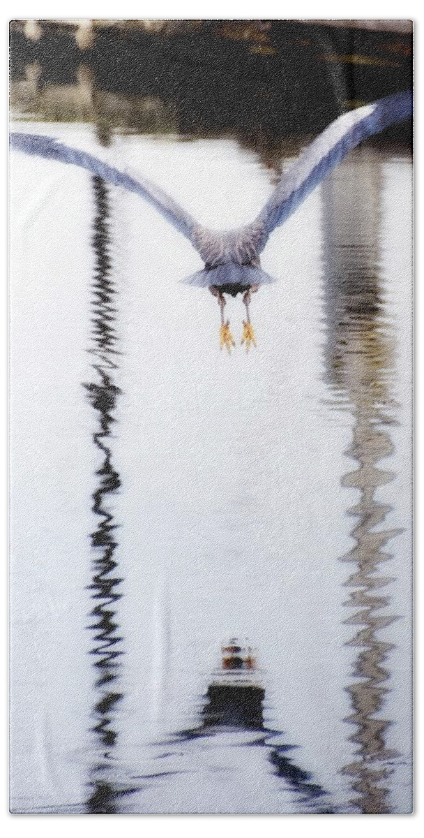 Newel Hunter Beach Towel featuring the photograph Airborne by Newel Hunter