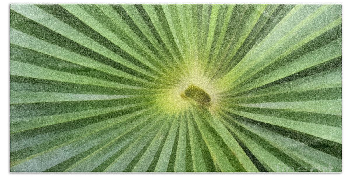 Leaf Beach Towel featuring the digital art All Green by Teresa Zieba