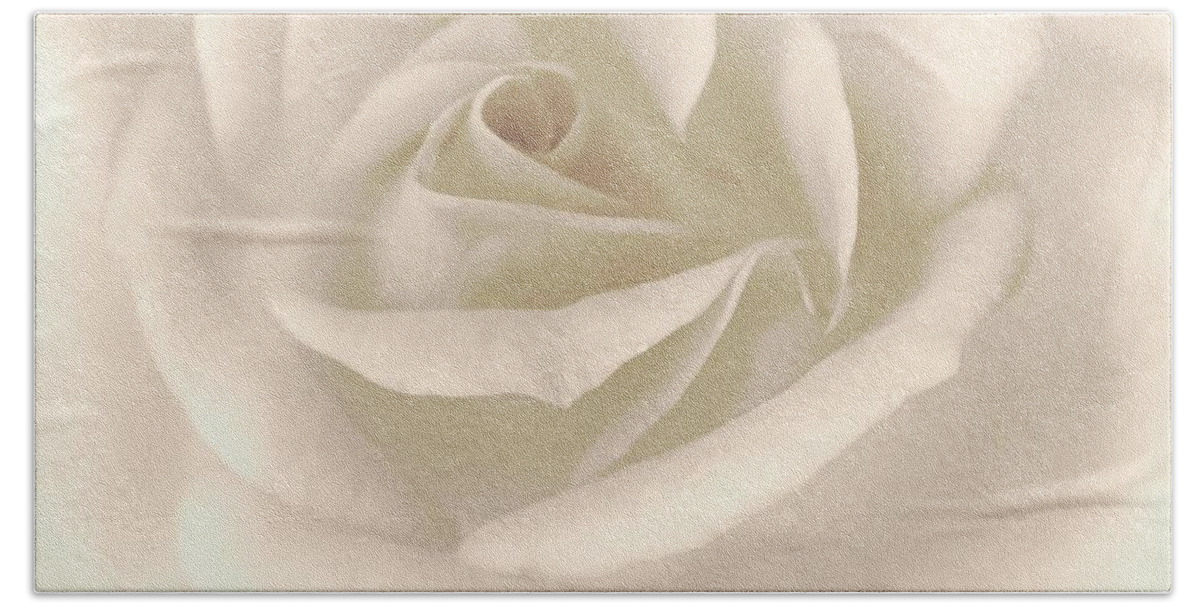 White Rose Art Beach Towel featuring the photograph Alma Pura by The Art Of Marilyn Ridoutt-Greene