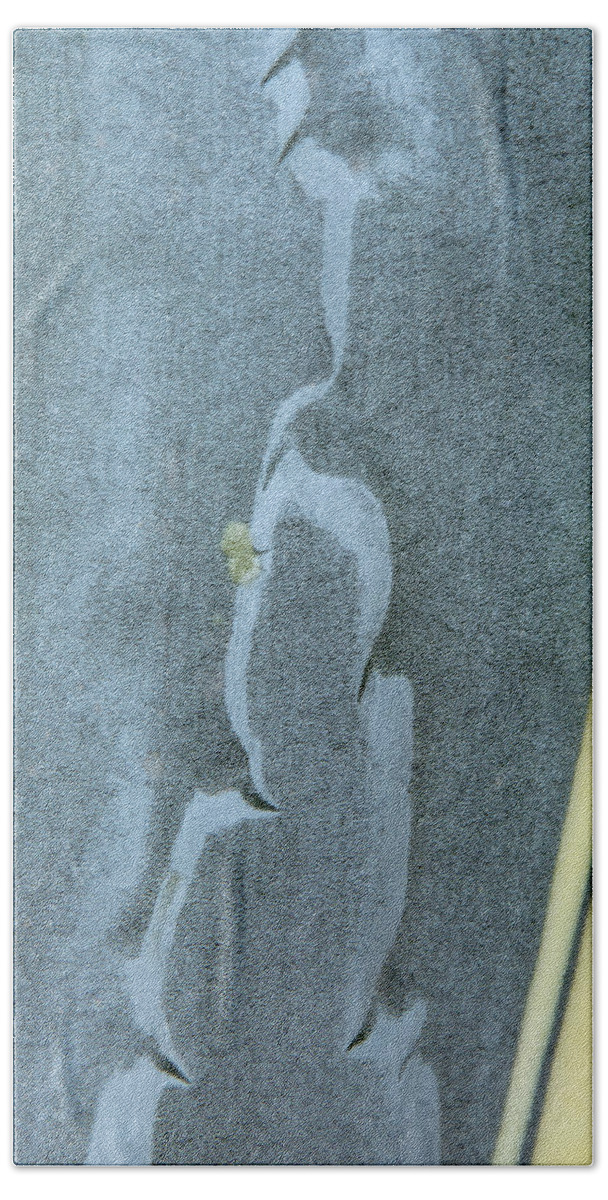 Aloe Beach Towel featuring the photograph Aloe Abstract 6889 by Tam Ryan