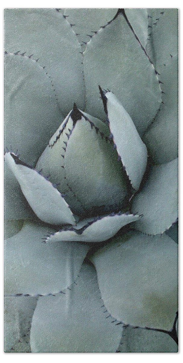 Agave Beach Towel featuring the photograph Agave by Melinda Blackman