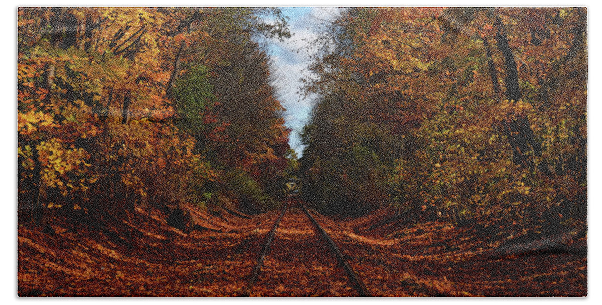 Tree Beach Towel featuring the photograph Along The Rails by Tricia Marchlik