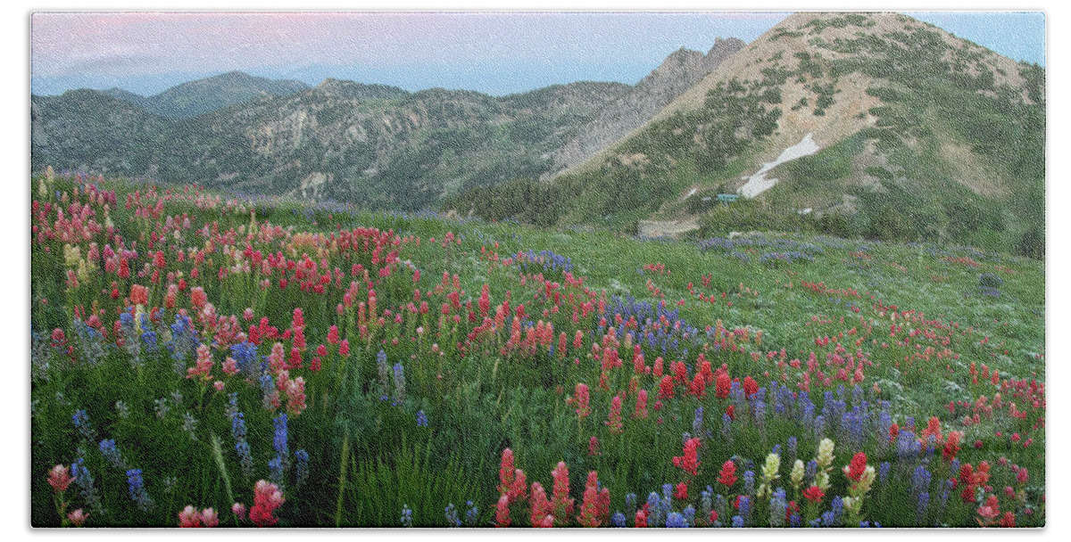Landscape Beach Towel featuring the photograph Alpine Wildflowers and View at Sunset by Brett Pelletier