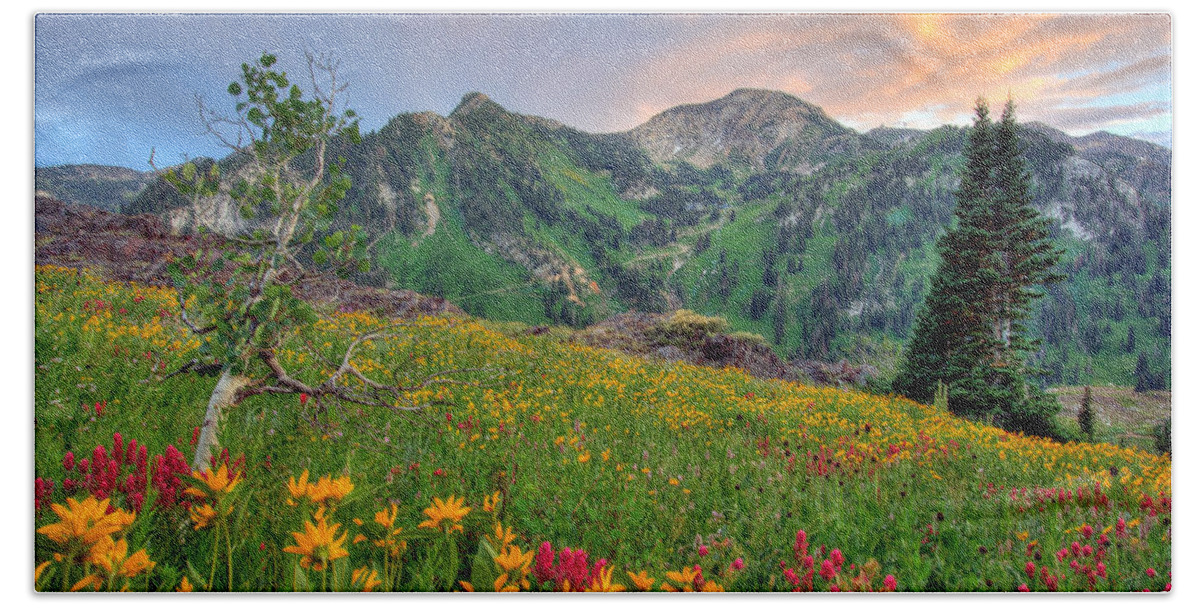 Wildflower Beach Towel featuring the photograph Alta Wildflowers and Sunset by Brett Pelletier