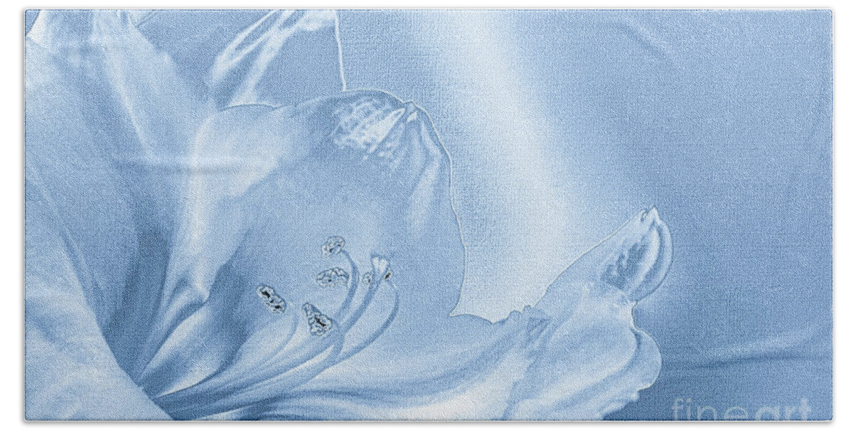 Mona Stut Beach Towel featuring the digital art Amaryllis Lily Monotone Fancy by Mona Stut