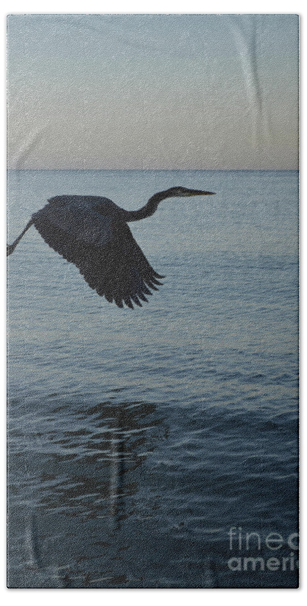 Silhouette Beach Towel featuring the photograph Amazing Flying Great Blue Heron by DejaVu Designs