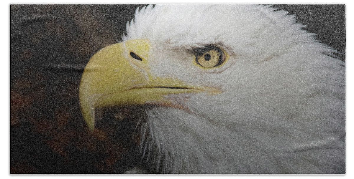 American Bald Eagle Beach Towel featuring the digital art American Bald Eagle Portrait 2 by Ernest Echols