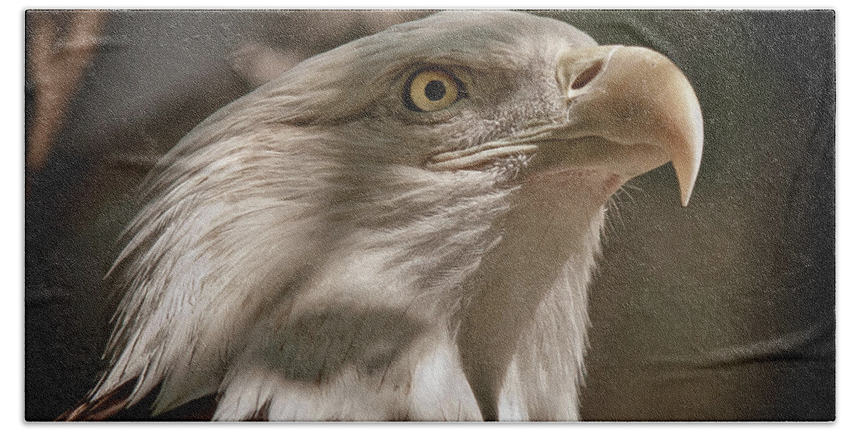 Animal Beach Towel featuring the photograph American Bald Eagle by Robert Frederick
