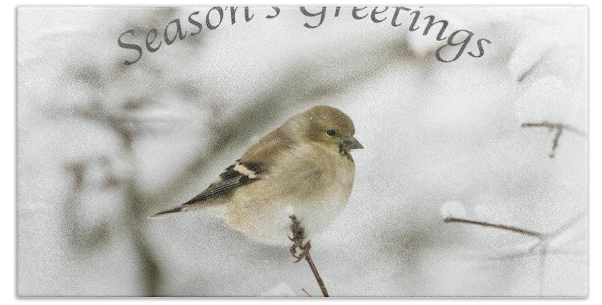 American Goldfinch Beach Towel featuring the photograph American Goldfinch - Season's Greetings by Holden The Moment
