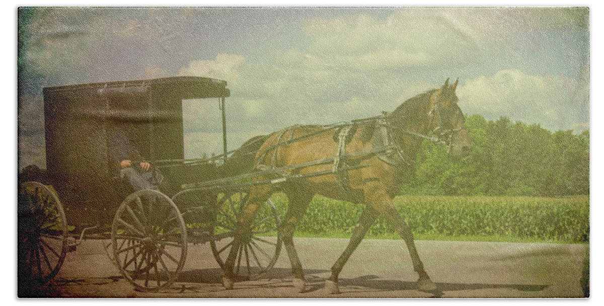 Amish Beach Towel featuring the photograph Amish Conveyance Color by Jim Cook
