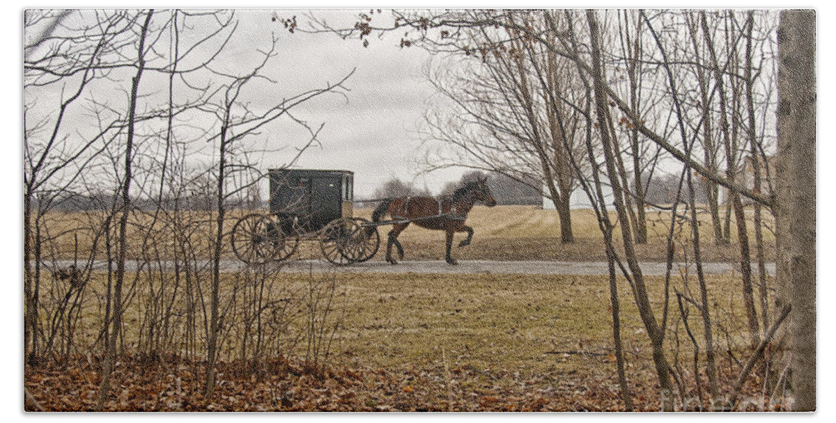 Amish Beach Towel featuring the photograph Amish Dreams ReDone by David Arment