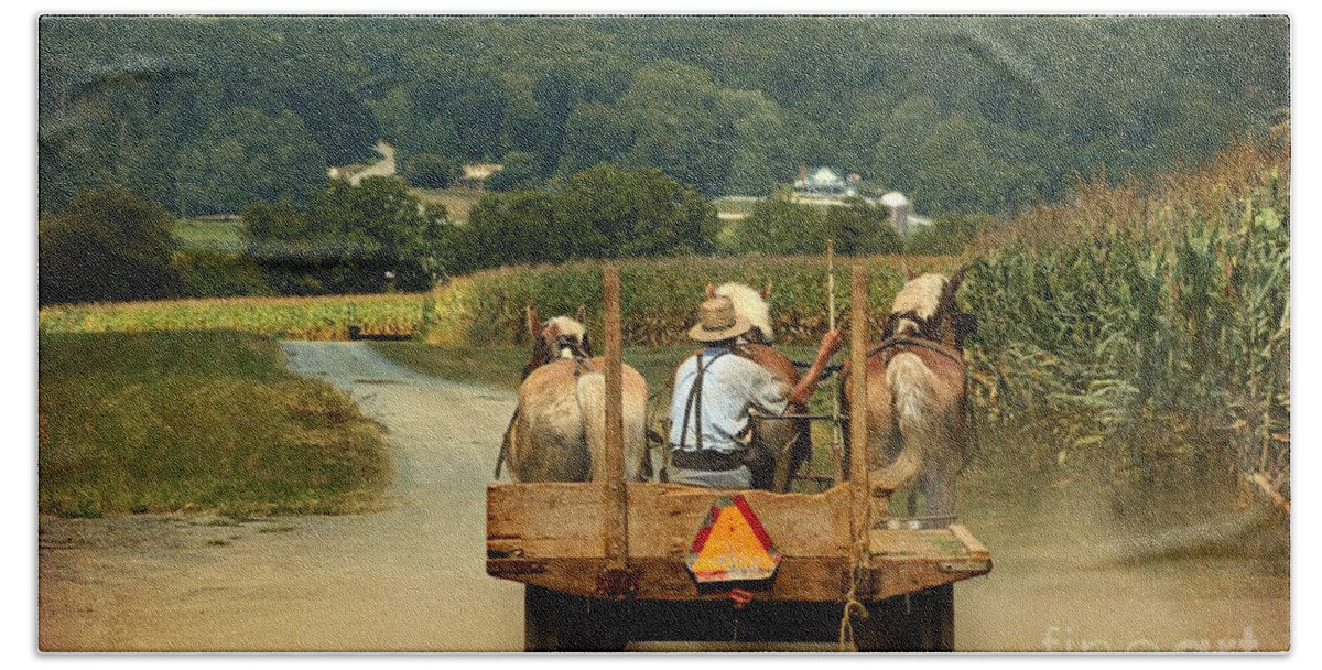 Amish Farmer Beach Towel featuring the photograph Amish Farmer Three Horses by Beth Ferris Sale
