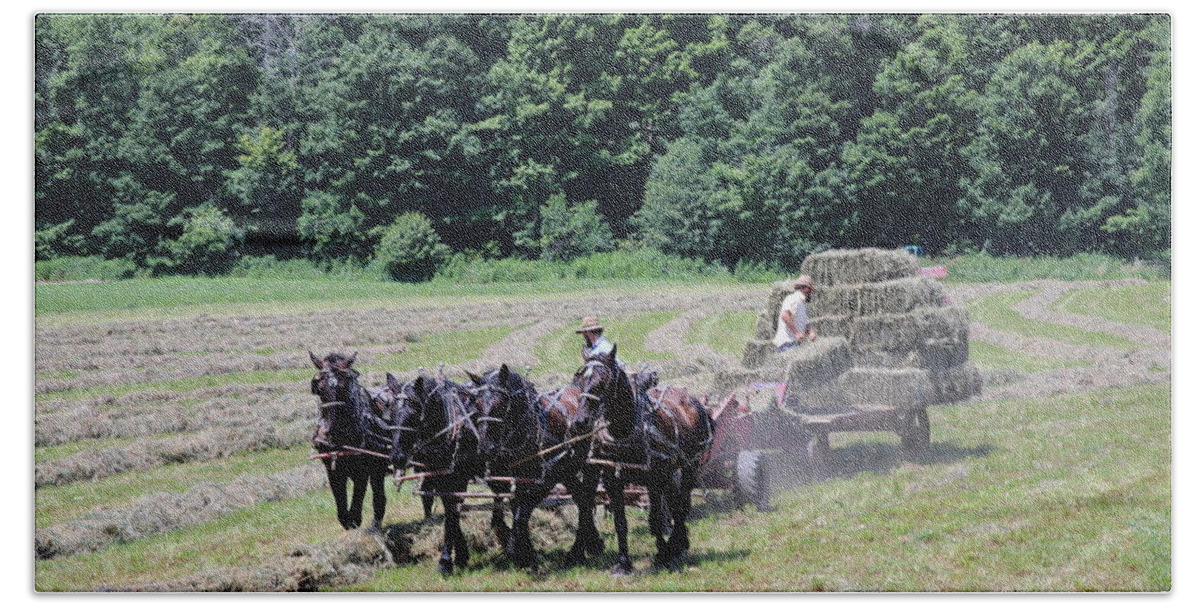 Horses Beach Sheet featuring the photograph Amish Hay Harvest by Rick Redman