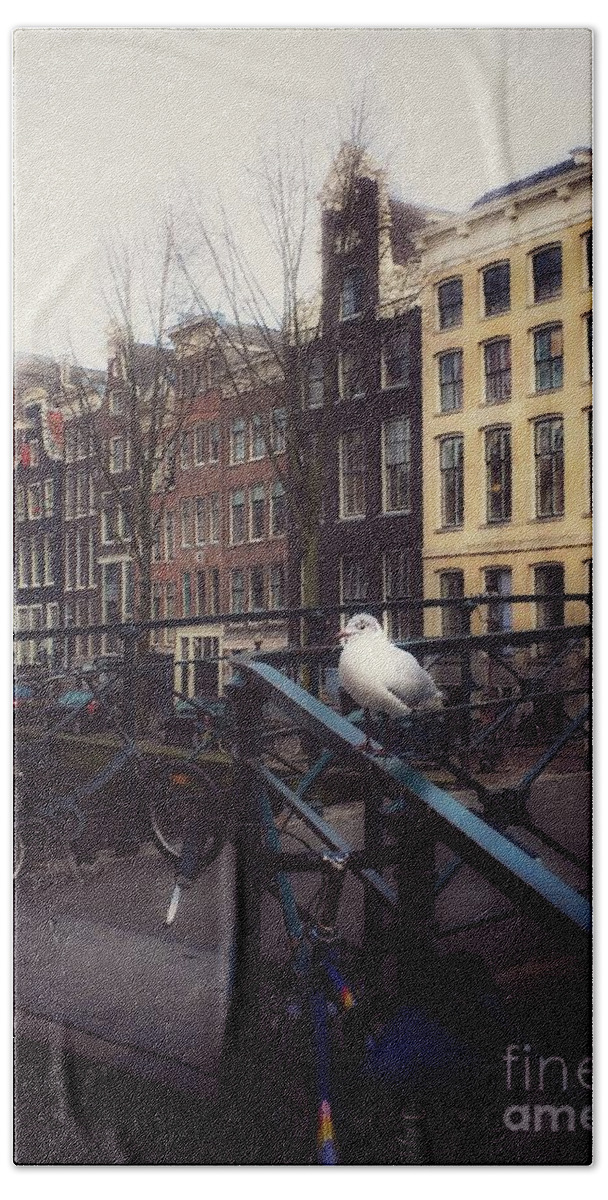 Amsterdam Beach Towel featuring the photograph AmSeagull by HELGE Art Gallery