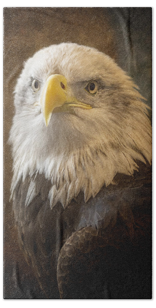Eagle Beach Towel featuring the photograph An Eagles Majesty by Bill and Linda Tiepelman
