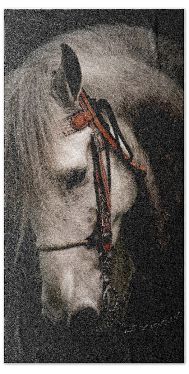 Andalusian Beach Towel featuring the photograph Andalusian Horse by Athena Mckinzie