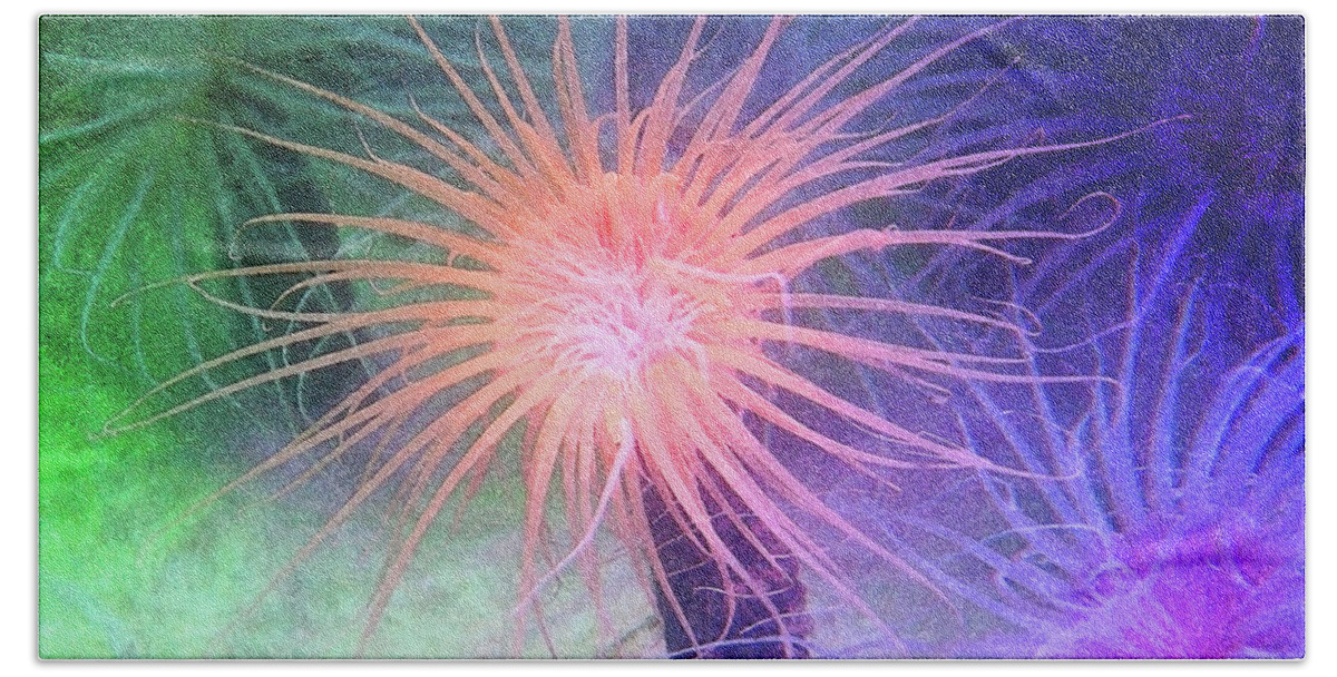 Color Beach Towel featuring the photograph Anemone Color by Anthony Jones
