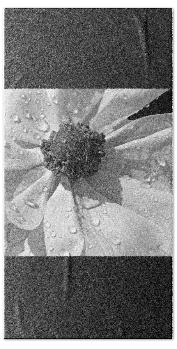 Floral Macro Beach Sheet featuring the photograph Anemone Poppy In Black And White by Ben and Raisa Gertsberg