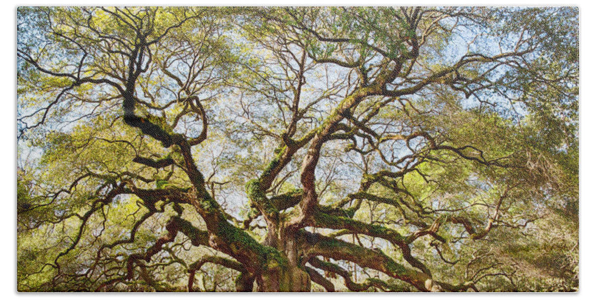 Tree Beach Sheet featuring the photograph Angel Oak in Spring by Patricia Schaefer