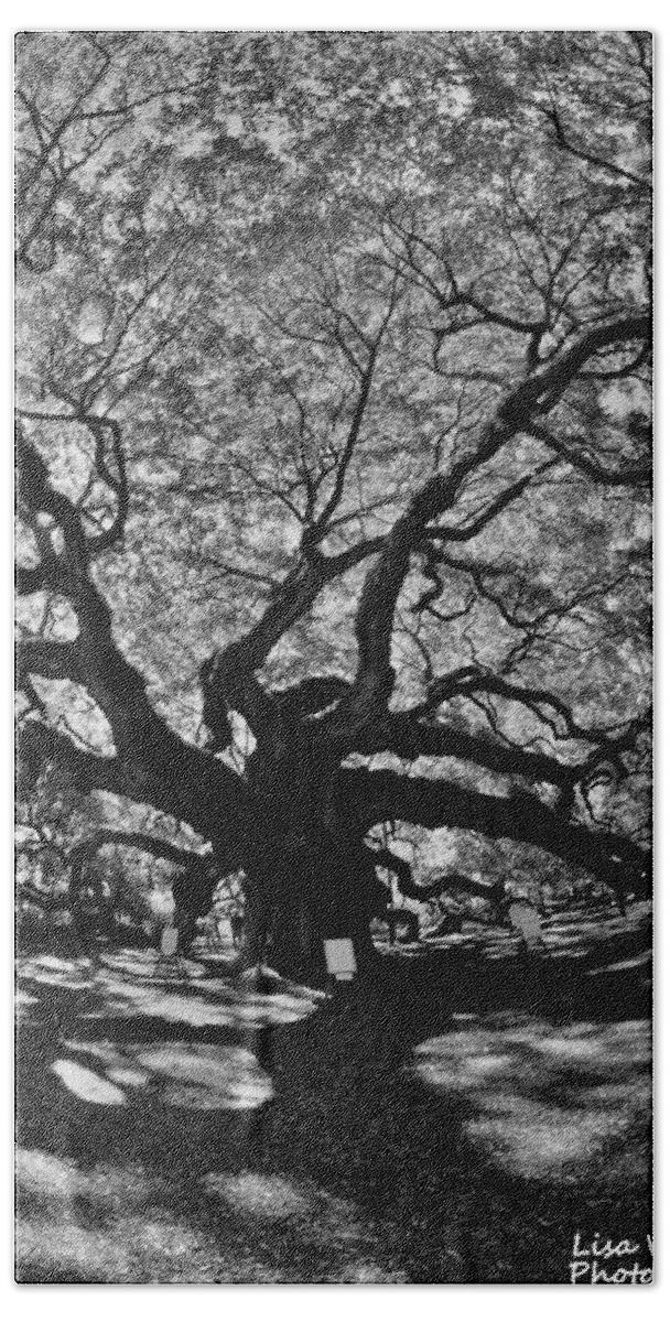 Angel Oak Johns Island Black And White Beach Towel featuring the photograph Angel Oak Johns Island Black And White by Lisa Wooten