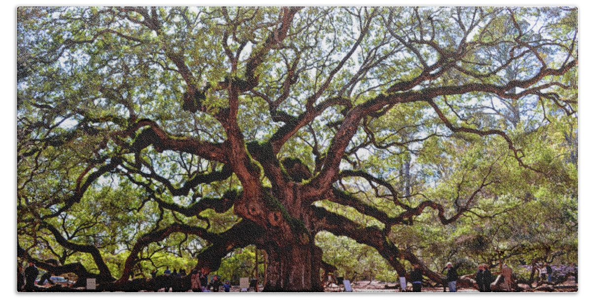 Tree Beach Towel featuring the photograph Angel Oak Tree 009 by George Bostian