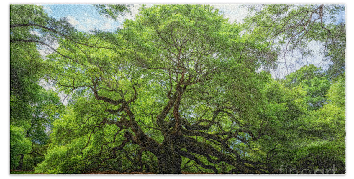 Angel Oak Tree Beach Towel featuring the photograph Angel Oak Tree in South Carolina by Michael Ver Sprill