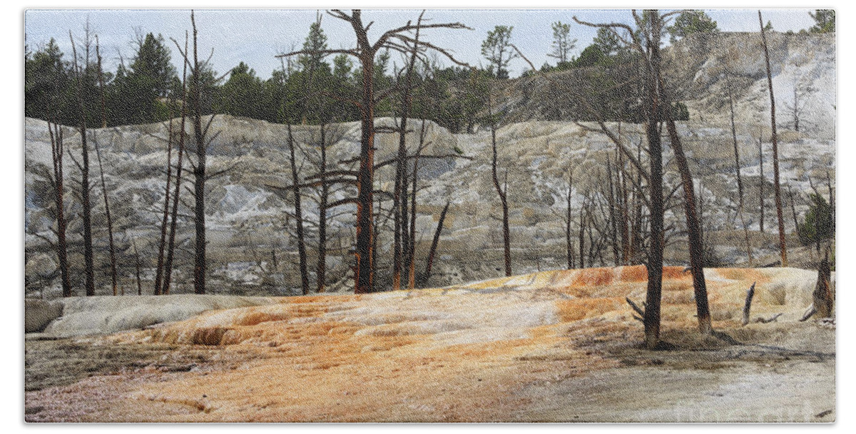 Angel Terrace Beach Towel featuring the photograph Angel Terrace at Mammoth Hot Springs Yellowstone National Park by Louise Heusinkveld