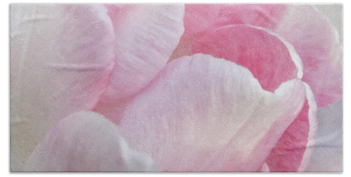 Flower Beach Towel featuring the photograph Angelique Peony Tulip #3 by Patti Deters