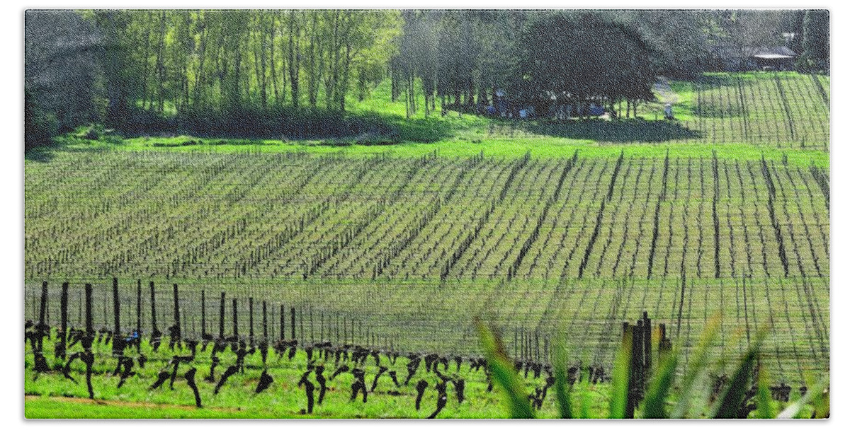 Anne Beach Towel featuring the photograph Anne Amie Vineyard Lines 23093 14x8 by Jerry Sodorff