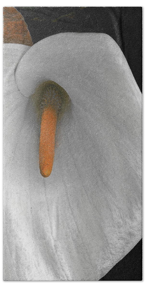 Iphone Photos Beach Towel featuring the mixed media Anthurium by Bill Owen