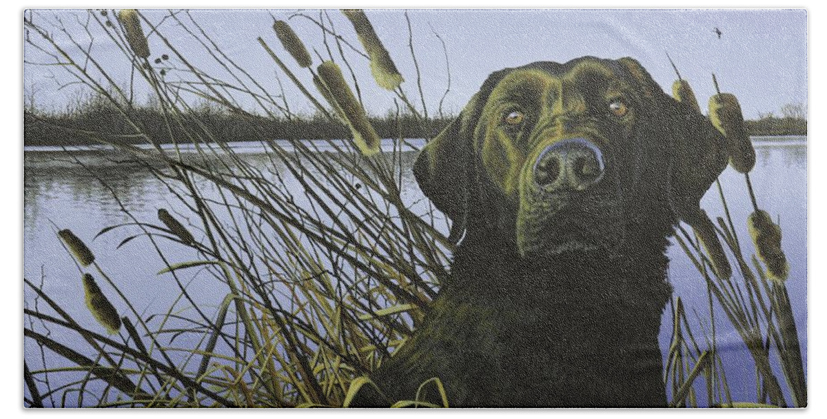 Black Lab Beach Towel featuring the painting Anticipation - Black Lab by Anthony J Padgett