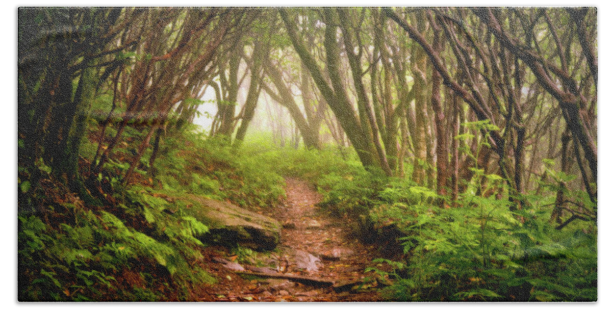 Hiking Beach Towel featuring the photograph Appalachian Hiking Trail - Blue Ridge Mountains Forest Fog Nature Landscape by Dave Allen